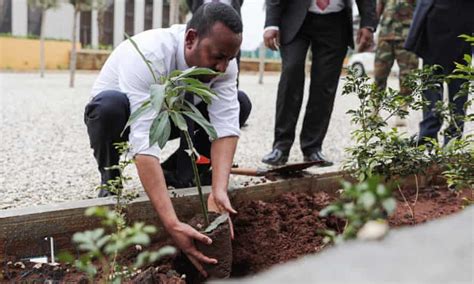 Ethiopia Plants 350m Trees In A Day To Help Tackle Climate Crisis