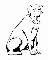 Coloring Labrador Lab Pages Dog Drawing Line Chocolate Printable Sitting Yellow Dogs Retriever Service Print Color Colouring Book Clipart Sheets sketch template