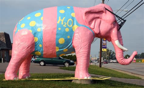 pink elephant  cookeville tennessee heptune flickr