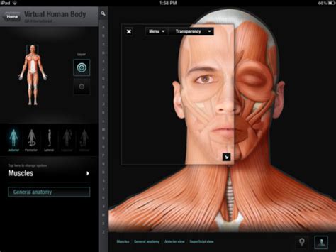 amazing virtual human body app released  ipad