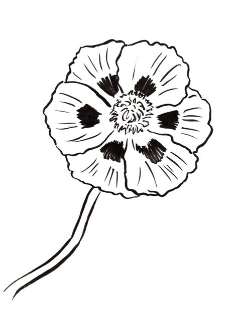 poppy coloring page art starts