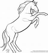 Rearing Lineart Horse Coloring Pages Template Drawings Deviantart Sketch sketch template