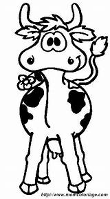 Coloring Cow Pages Cows Flower Print Browser Ok Internet Change Case Will Cut Acoloringbook sketch template