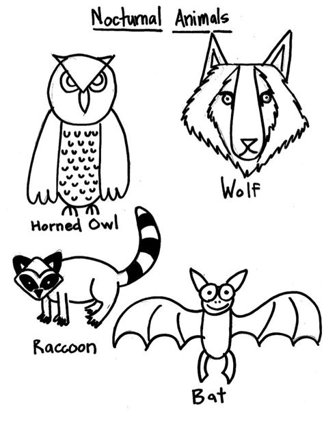 nocturnal animals coloring page bats  nocturnal coloring page