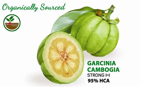 garcinia cambogia extract pure premium weight loss capsules