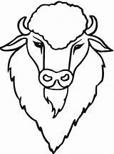 Buffalo Coloring Bison Pages Drawing Head American Kids Cute Template Animals Sketch Printable Outline Getdrawings Wildlife sketch template