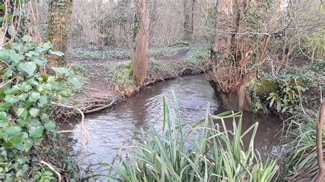 developing  catchment wide river restoration plan training