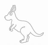 Drawing Kangaroo Coloring Preschool Pages Telecaster Printable Kangaroos Getdrawings sketch template