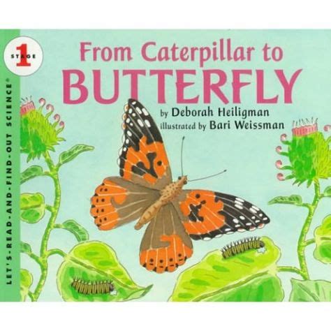 childrens books   butterfly life cycle butterfly