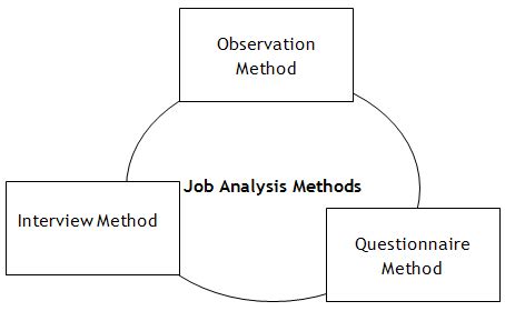Job group analysis