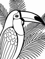 Parrot Getdrawings sketch template