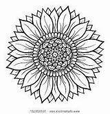 Sunflower Mandala Coloring Google sketch template