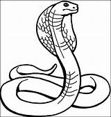 Coloring Pages Cobra Animals Snake Snakes Dangerous King Color Kids Animal Printable Cool Colouring Tattoo Rattlesnake Sheets Print Drawing Shelby sketch template