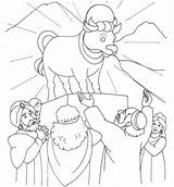 Coloring Pages Hebrew Calf Golden Library Clipart Bible Moses sketch template