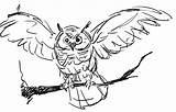 Owl Coloring Pages Printable Kids Owls Bird Drawing Drawings Bestcoloringpagesforkids Draw Birds Choose Board sketch template