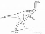 Gallimimus Coloring Jurassic Pages Baryonyx Kids Printable Color Dinosaur Print Related Posts sketch template