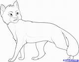 Warrior Coloring Cat Pages Cats Kit Template Print Color sketch template