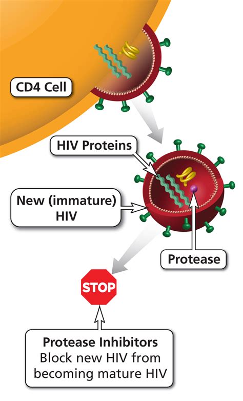 protease inhibitor pi nih