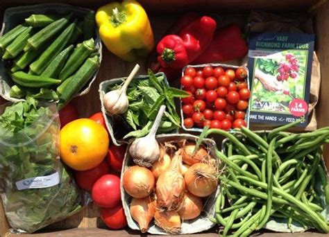 naturally grown vegetables delivered  hallsley residents hallsley