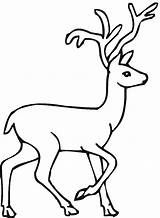 Deer Coloring sketch template
