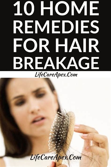 home remedies  hair breakage hair care hair breakage hair