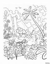 Coloring Rainforest Drawing Jungle Kids Animals Plants Jardim Colorir Para Encantado Desenhos Easy Draw Imprimir Desenho Drawings Painting Da Google sketch template