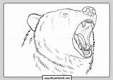 Grizzly Abcworksheet sketch template