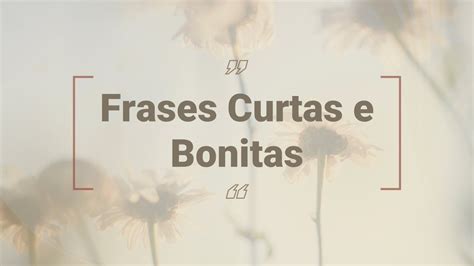frases curtas  bonitas pequenas reflexoes  status