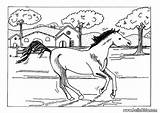 Horse Galloping Hellokids sketch template
