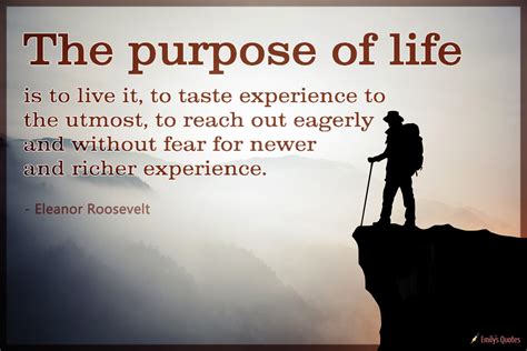 purpose  life      taste experience   utmost