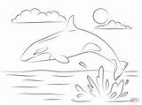 Whale Pages Coloring Killer Water Cute Drawing Jumping Coming sketch template
