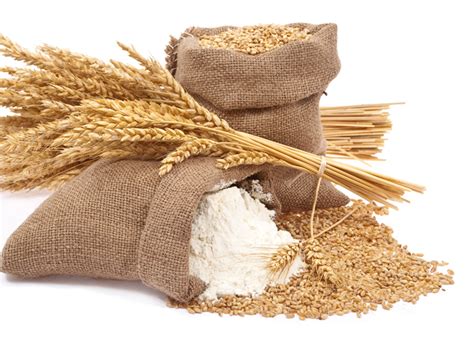 wheat flour  ram prapulla agro industries pvt  wheat flour inr  kilogram approx