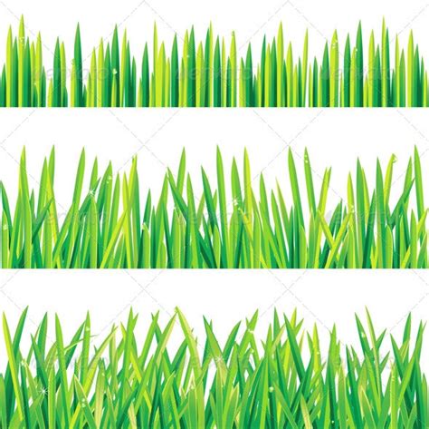 grass borders  martm graphicriver