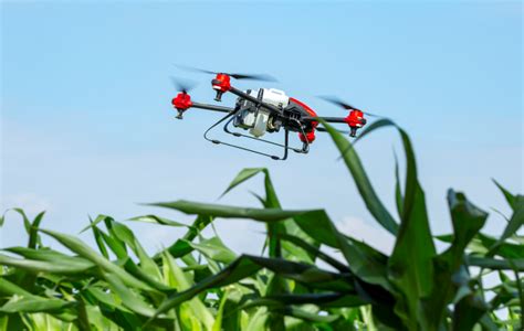 xag combats pests  crop spraying drones uas vision