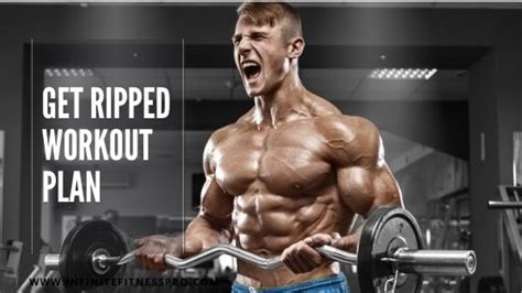 12 week get ripped workout plan bodybuilding tutorial pics
