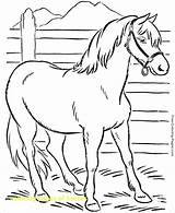Coloring Pages Thoroughbred Getcolorings Horse Beautiful sketch template