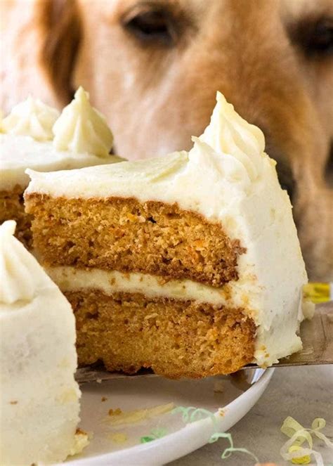 doggie birthday cake recipe cake baking