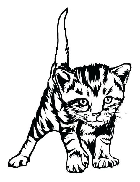 cartoon realistic coloring pages  cats  printable coloring