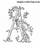Coloring Magic Pages Alphabet Flowered Monogram Decorated Letter Flower sketch template