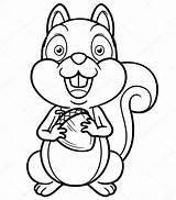 Squirrel Cartoon Coloring Book Stock Drawing Illustration Funny Angry Outline Depositphotos Flying Pages Sararoom Getdrawings Visit Paintingvalley Printablecolouringpages Cute sketch template