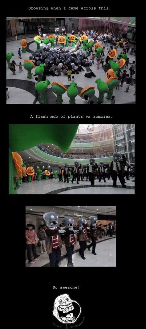 Plants Vs Zombie Pictures And Jokes Funny Pictures