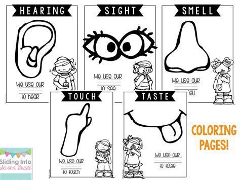 image result   senses coloring pages senses preschool