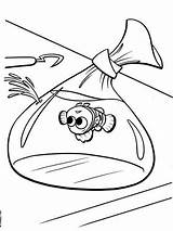 Nemo Colorear Kolorowanki Gdzie Buscando Aquarium Peixe Ausmalbild Pesce Bolsitas Marinhos Colouring Plantillas Plastico Plástico Tudodesenhos Desenho Paged Dzieci Momjunction sketch template