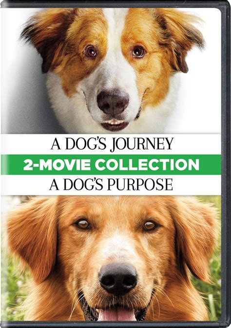 dogs journey  dogs purpose   collection dvd walmartcom