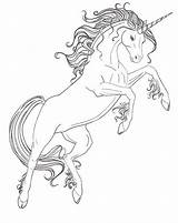 Coloring Pages Unicorn Horse Horses Color Adult sketch template