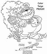 Coloring Twig Colouring Pages Larger Printablecolouringpages Credit sketch template