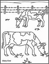 Bauernhoftiere Kostenlos sketch template