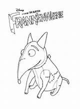 Frankenweenie Coloriage Burton Créé Imprimer Coloriages Eclair Buzz sketch template