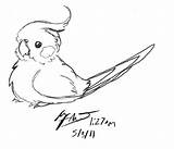 Cockatiel Drawing Coloring Drawings Cute Bird Wittle Pudgy Deviantart Desenho Cockatiels Desenhos Animal Draw Realistic Cartoon Sketch Sketches Birds Search sketch template