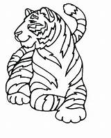 Tigre Tigres Escargot Colorear Zoo Coloriages Dent Sabre Trouveras Lescargot Chinois Steph Salvajes Cett Greatestcoloringbook Enfants Ad3 sketch template